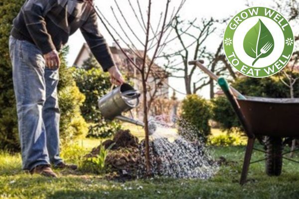 Photo of someone watering a sapling with a watering can