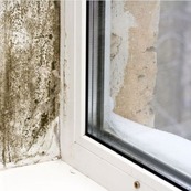 Photograph of a window with mould growing on the walls inside the home