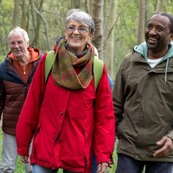 Photograph of three adults walking in a wooded area