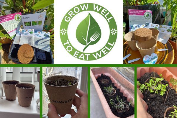 Image of seeds being grown