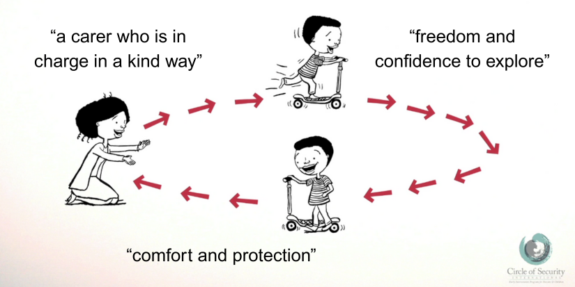 Circle of security illustration