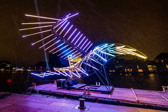 Phenix © Christopher Askman