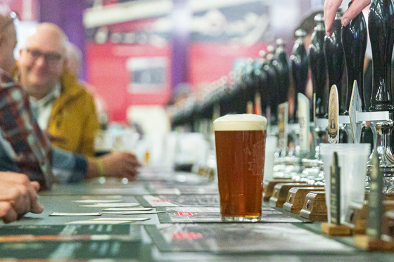 Beer & Music Festival