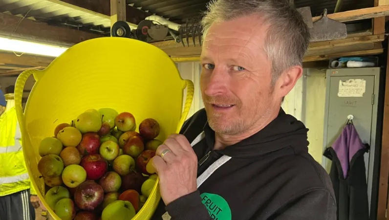 Photo of a man with a bucket of apples