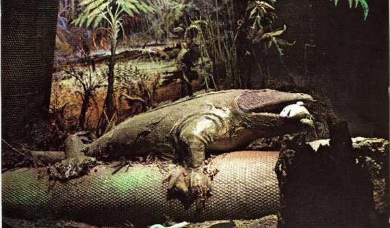 Fabulous Fossil Hunters