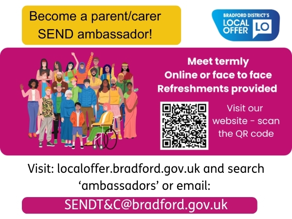 SEND ambassador