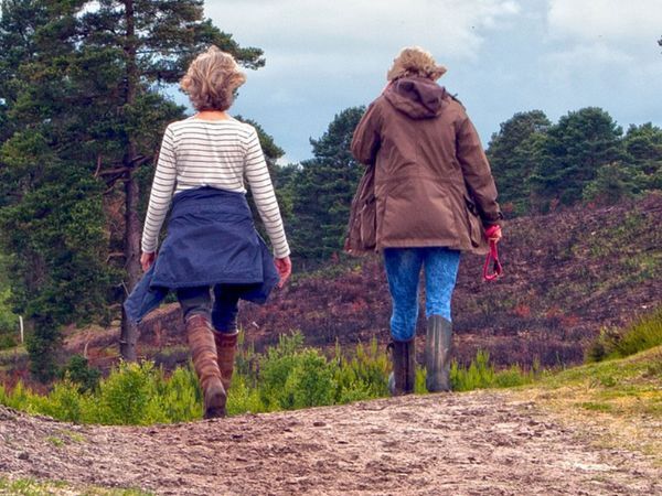 Walk for hearts in February