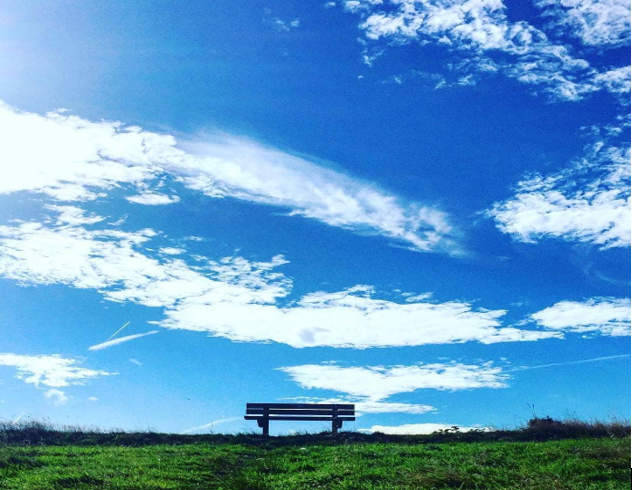 Bench of Dreams Northcliffe Park