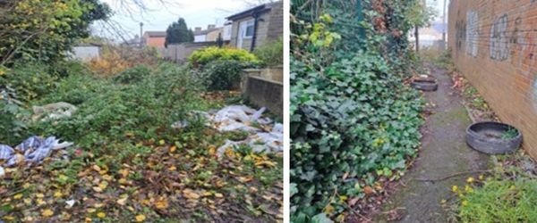 Hollingwood clean up action day