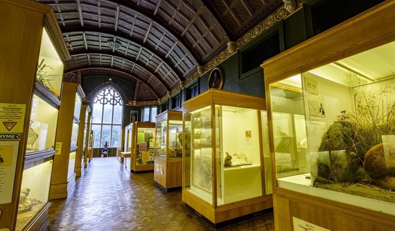 Cliffe Castle displays