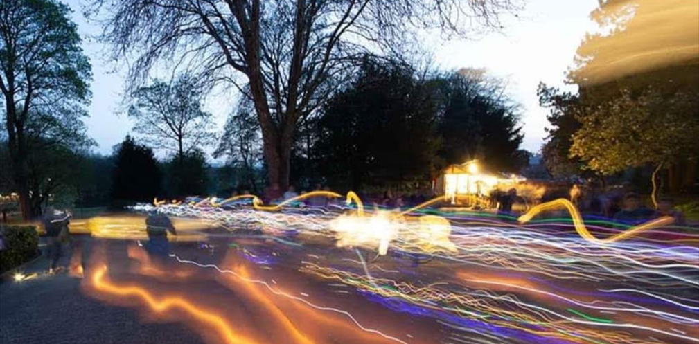 Light trails through trees