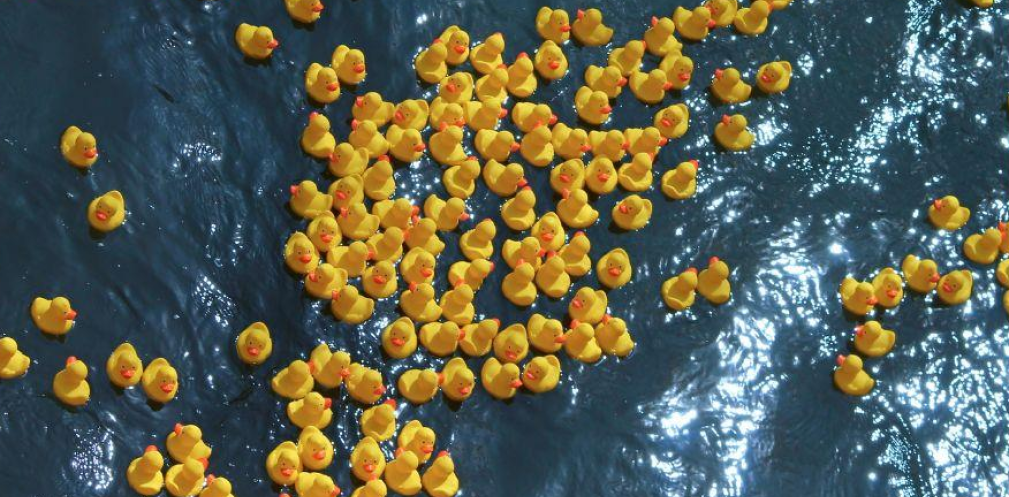 Rubber ducks