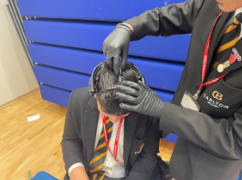 neuroscience for home educated