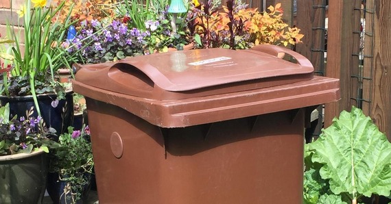 Brown bin