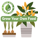 grow
