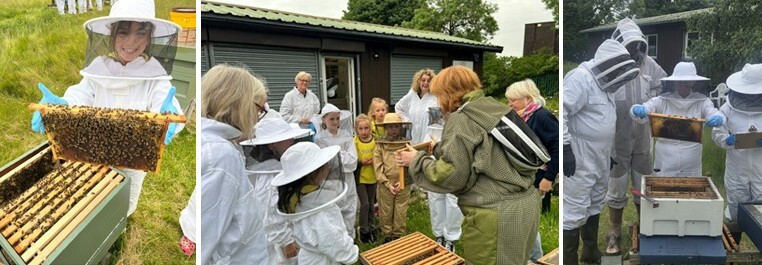 Beekeeper Montage