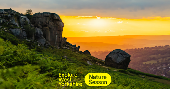 Nature Seasons