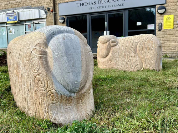 Shipley Sheep