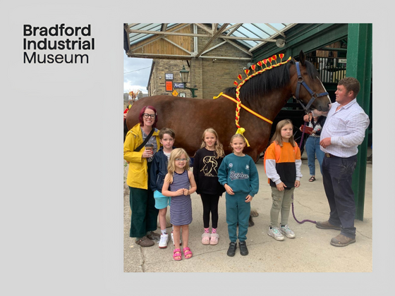 Shire Horse at Yorkshire Day at Bradford Industrial Museum