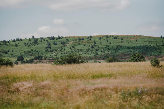 Baildon Moor
