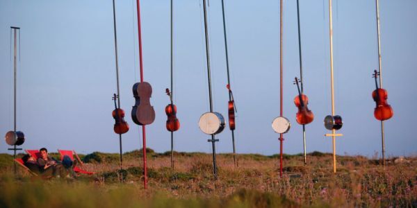 Harmonic Fields