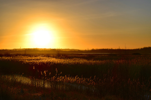 Sunrise at St Aidens by Kirsty Breaks-Holdsworth