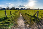 Rural survey