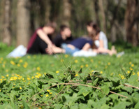 Group of young people in a park