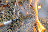 Cigarette end causing grassland fire