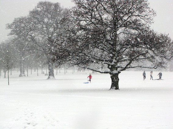 Snowy scene at South Hill Park