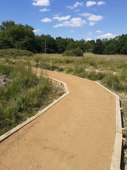 Improved path at Horseshoe Lake