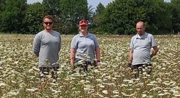 Three rangers in a wildflower meadow at Frost Folly