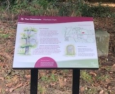 Interpretation panel at The Chestnuts open space