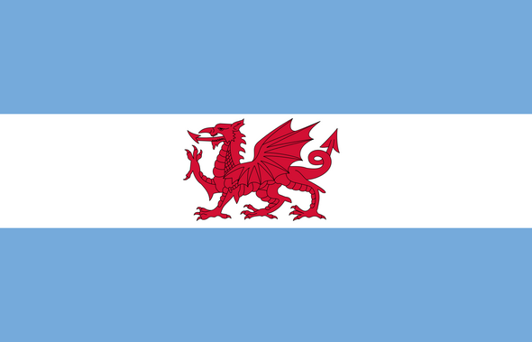 Patagonia Flag