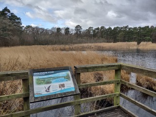 Views of Englemere Pond and its interpretation