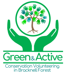 Green and active logo