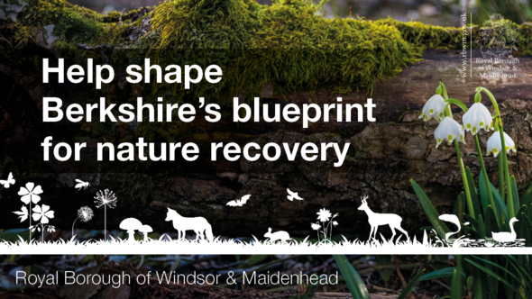 Help shape Berkshire’s blueprint for nature recovery