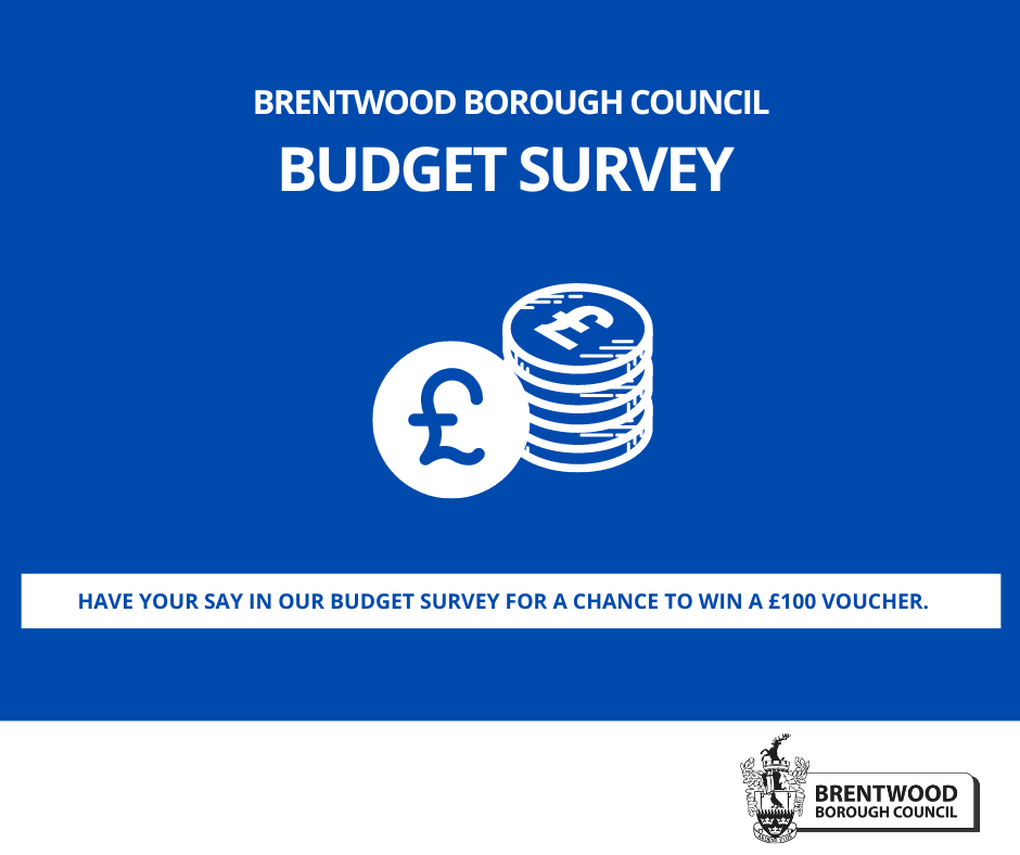 Budget survey