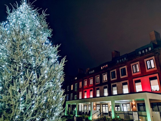 Town Hall Christmas Tree