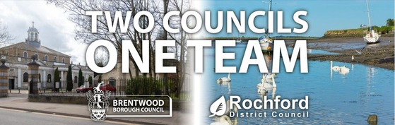 Strategic partnership survey