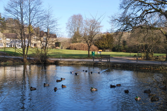 Bryngarw Country Park