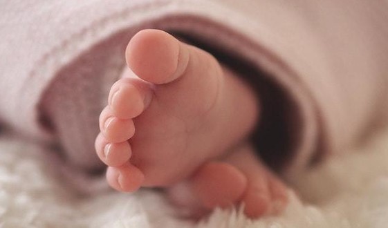 Image of babies feet