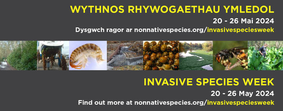 Invasive Species 