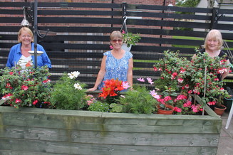 Tenants at cloverlands court gardening project