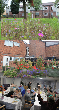 Cloverlands collage, building, garden and activity