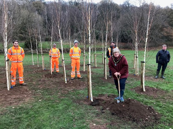 Mayor of Broxtowe digging a hole for a tree with Grounds team around here, all giving more than 2m space and trees already planted in the space