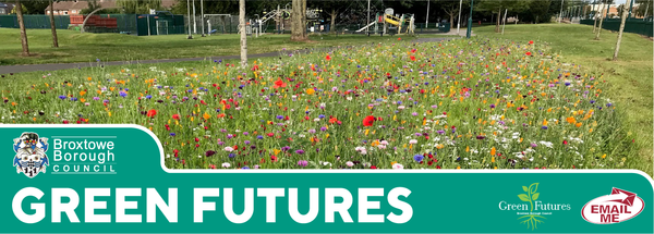 Green Futures Banner