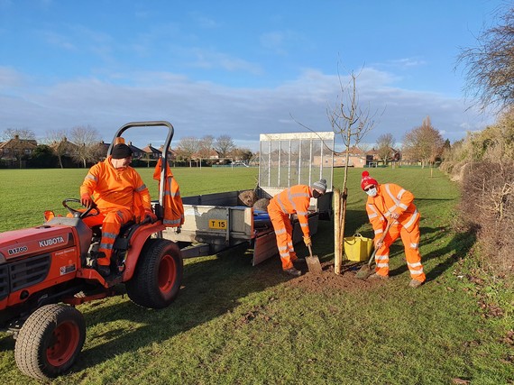 Three Council workers planting a tree in Leyton Crescent