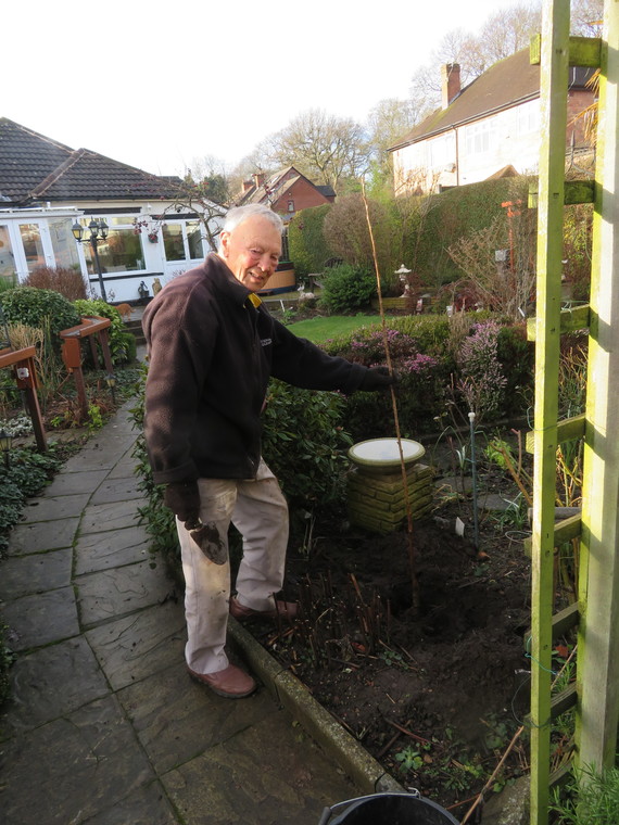 Man receiving a free tree