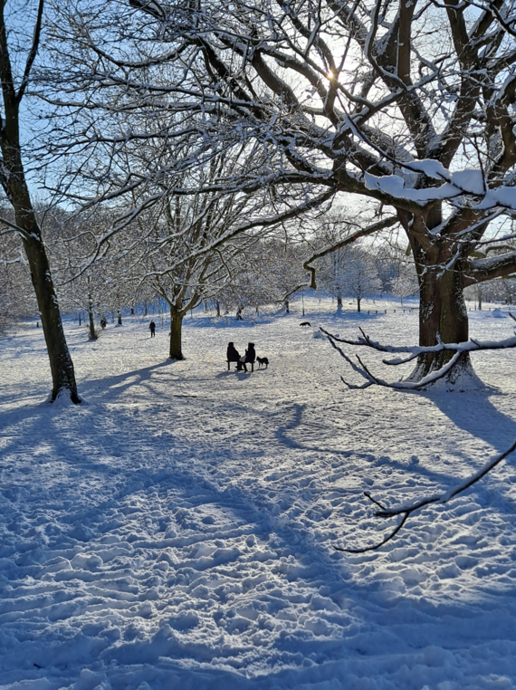 Bramcote Hills Park in the snow